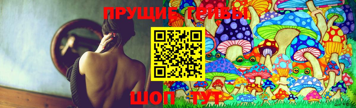 Псилоцибиновые грибы прущие грибы Сосновоборск