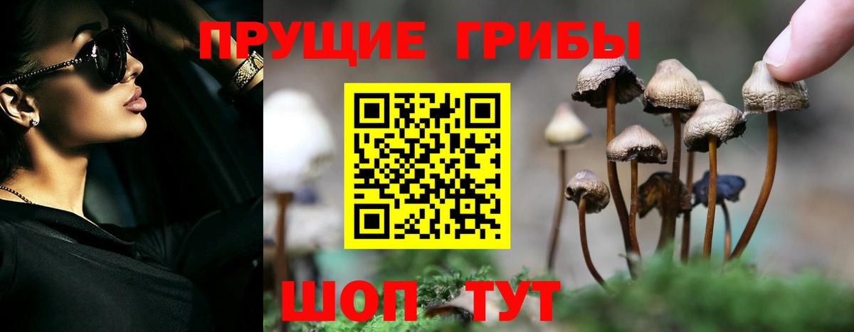 Псилоцибиновые грибы Psilocybine cubensis  Вход с VPN  Сосновоборск  Псилоцибиновые грибы мухоморы 