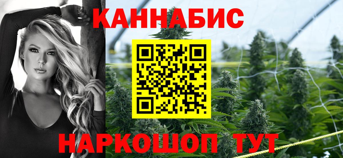 Шишки марихуана планчик Сосновоборск